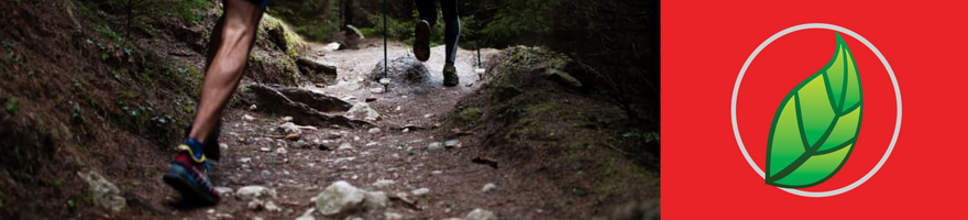 LA IMPORTANCIA DEL COMPLEJO B.