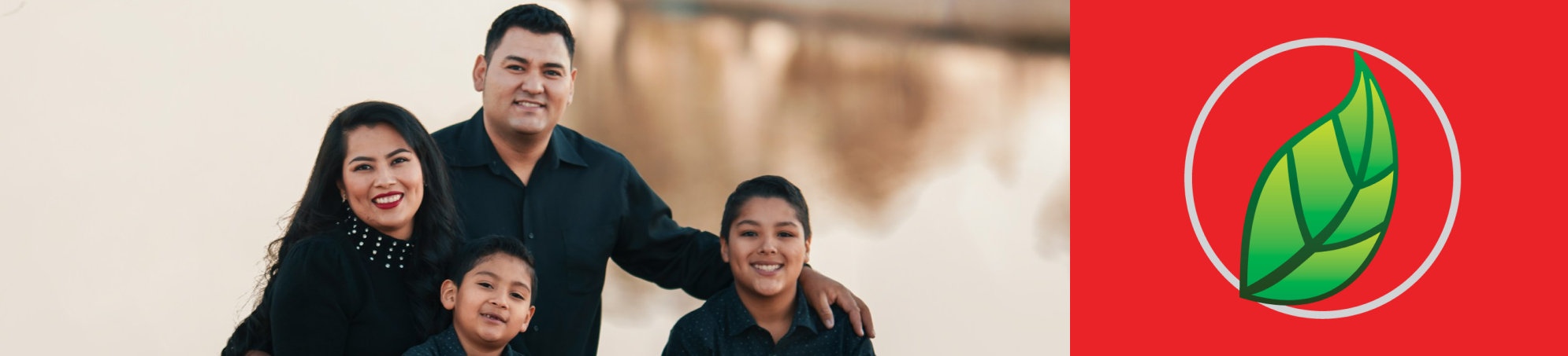 LA IMPORTANCIA DE LOS MINERALES