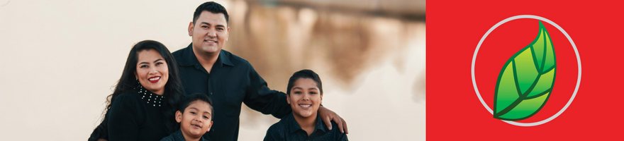 LA IMPORTANCIA DE LOS MINERALES