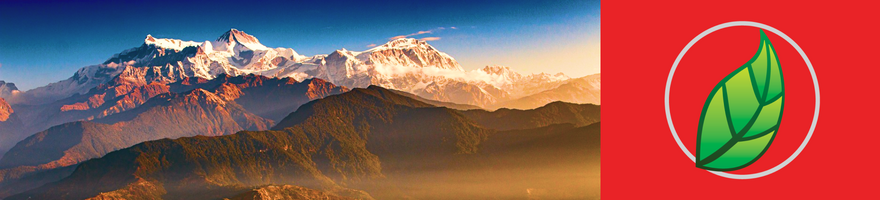 TRIPHALA: EL ELIXIR DE LA SALUD Y LA LONGEVIDAD