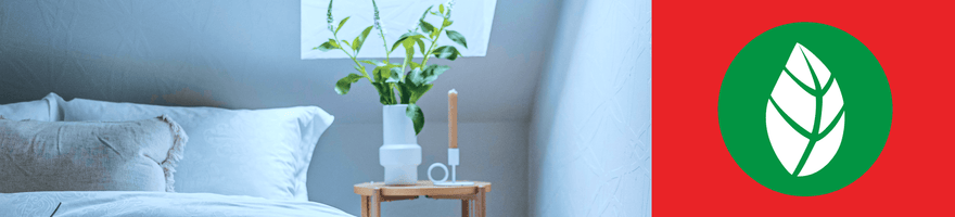 ASHWAGANDHA ANTES DE DORMIR: CÓMO SE INTEGRA ESTA RAÍZ EN LAS RUTINAS NOCTURNAS