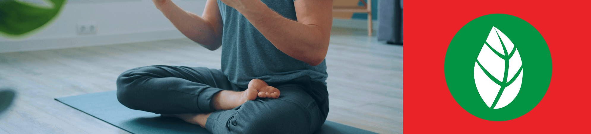 ¿CUÁLES SON 10 BENEFICIOS DE LA ASHWAGANDHA?