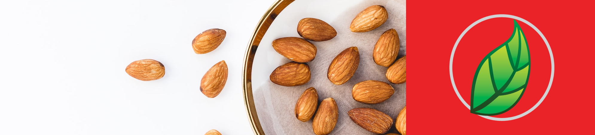 ESTO ES LO QUE PASA SI COMES 20 ALMENDRAS AL DÍA.