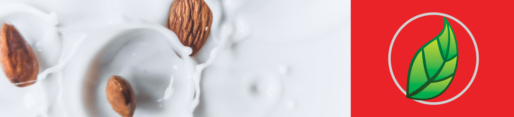 PERFIL NUTRICIONAL DE LAS BEBIDAS DE ALMENDRA.