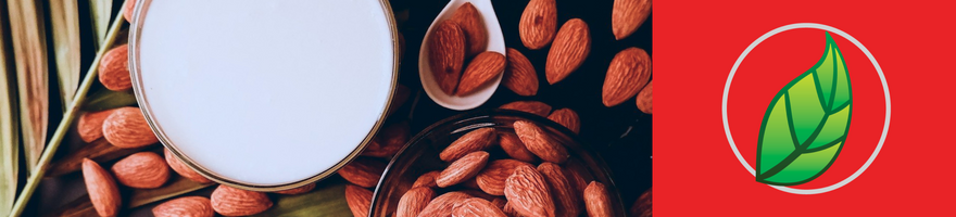 5 RAZONES PARA OPTAR POR UNA DIETA LIBRE DE GLUTEN