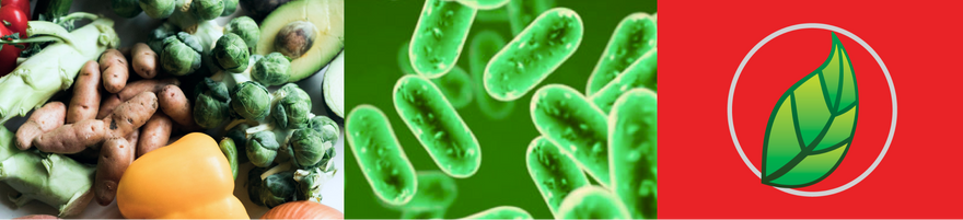 ¡LAS DIFERENCIAS ENTRE PROBIÓTICOS Y PREBIÓTICOS!