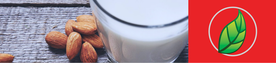 POR QUÉ COMER ALMENDRAS ANTES DE HACER EJERCICIO