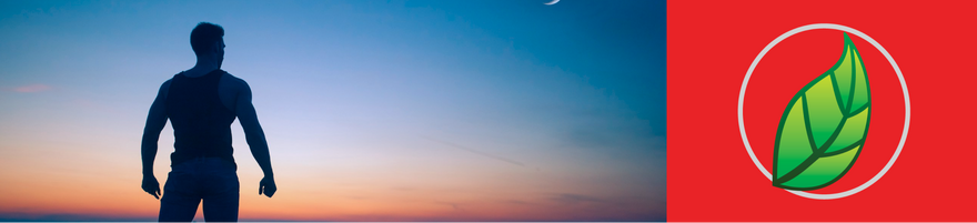 LA COMBINACIÓN DE ALMENDRAS Y EJERCICIO MARCARÁ TUS MÚSCULOS.