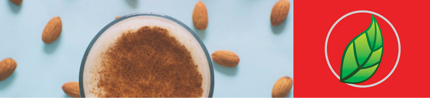 SMOOTHIE DE ALMONDRIK CON COCO, JENGIBRE Y CANELA