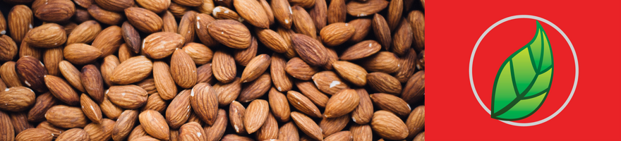 ¿QUÉ SON LOS OMEGA 3-6-9?