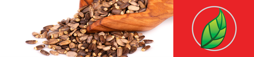 ¿Qué beneficios tiene el cardo mariano?