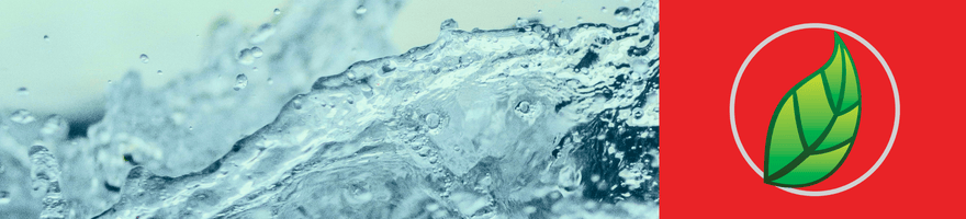 ¿QUÉ ES EL CITRATO DE MAGNESIO?