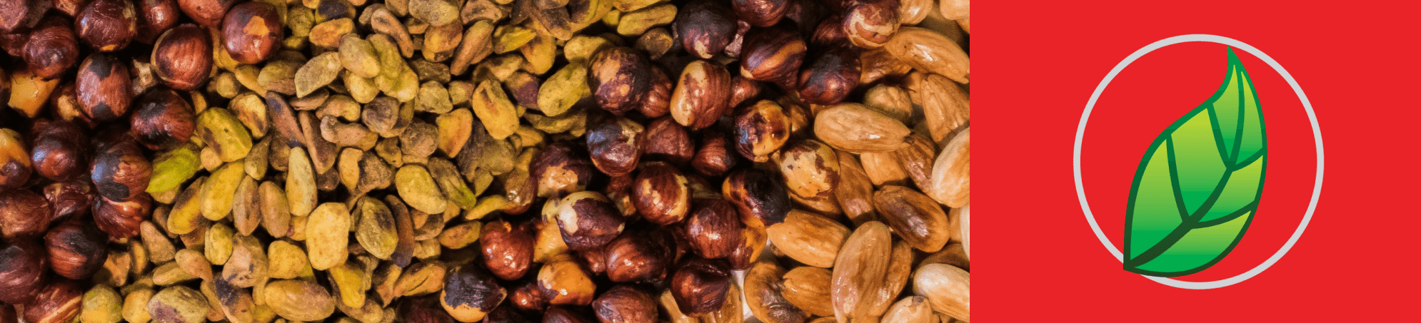 MAGNESIO: UN MINERAL INDISPENSABLE