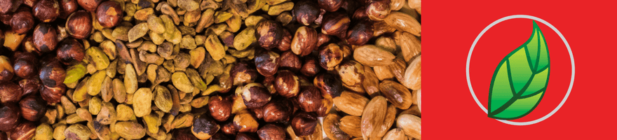 MAGNESIO: UN MINERAL INDISPENSABLE