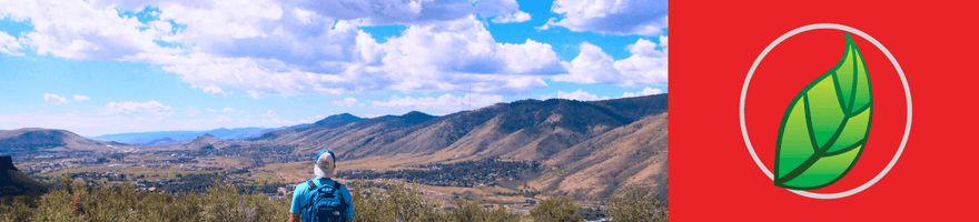 POTASIO: SU IMPORTANCIA