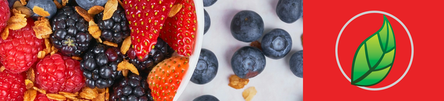 ALIMENTOS BUENOS PARA LA SALUD INTESTINAL.