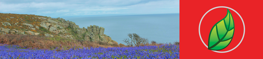 POR QUÉ DEBES DECIRLE SÍ A LA SOYA