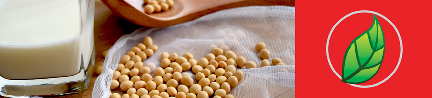 QUÉ ES LA "LECHE DE SOYA"