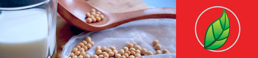 LOS BENEFICIOS UNICOS DE LA SOYA