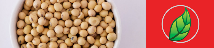 LOS BENEFICIOS DE LA BEBIDA DE SOYA ANTE LA LECHE DE VACA