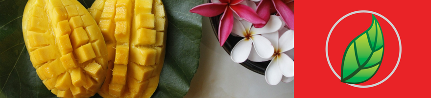 RECETA FÁCIL: SMOOTHIE DE MANGO CON SOYACEN