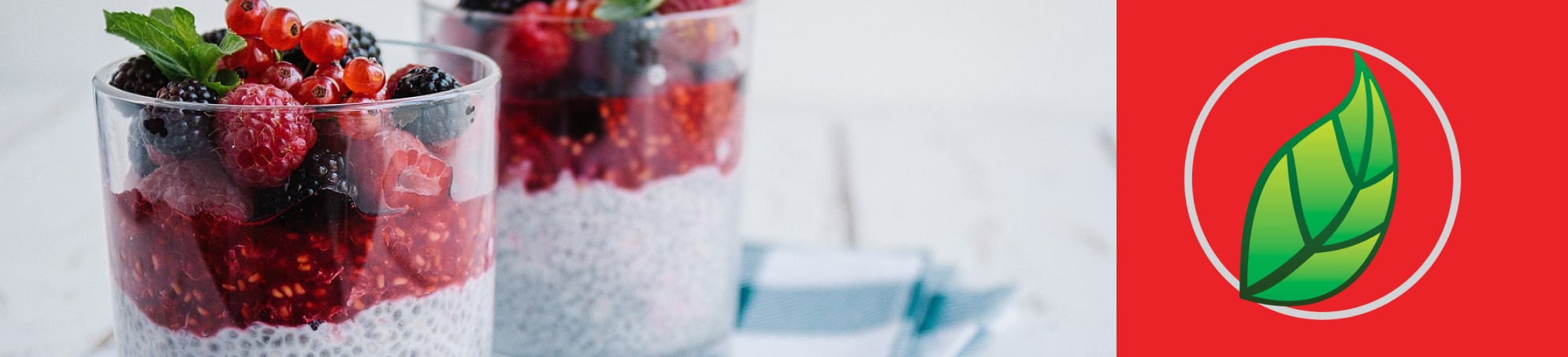 BUDÍN DE CHÍA CON FRUTOS ROJOS