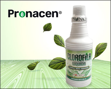 CLOROFILA LÍQUIDA